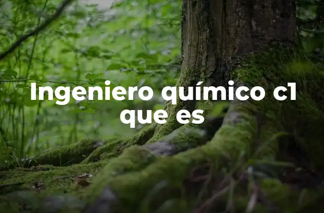 Ingeniero Químico C1 que es