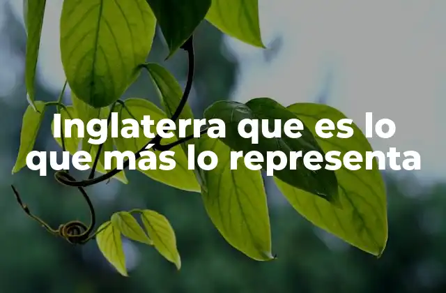 Inglaterra que es Lo que Más Lo Representa