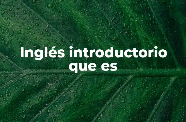 Inglés Introductorio que es