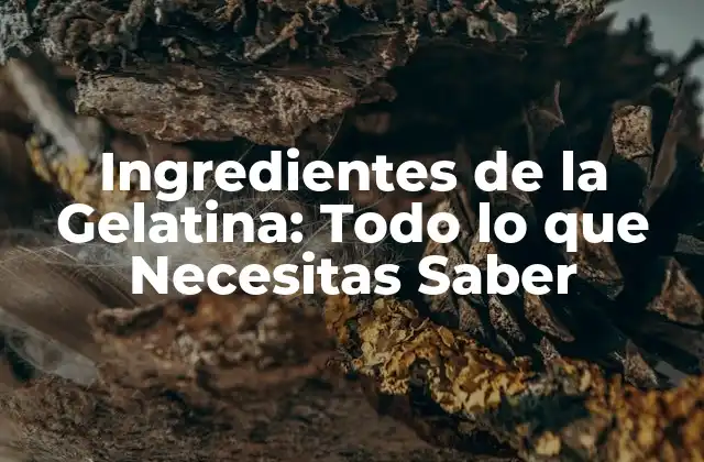 Ingredientes de la Gelatina: Todo Lo que Necesitas Saber
