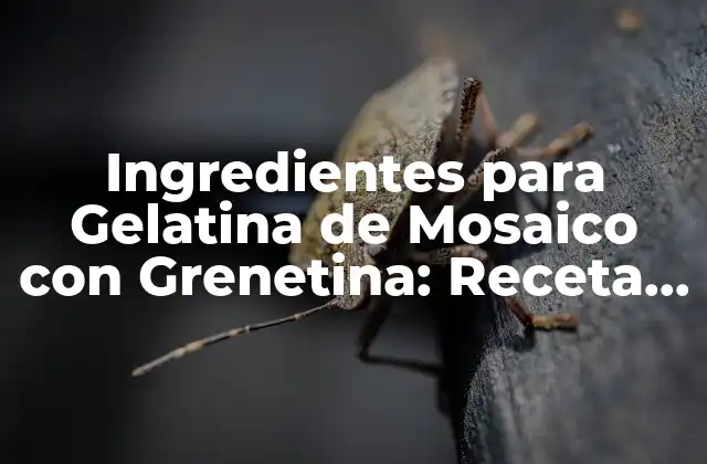 Ingredientes para Gelatina de Mosaico con Grenetina: Receta y Guía Detallada
