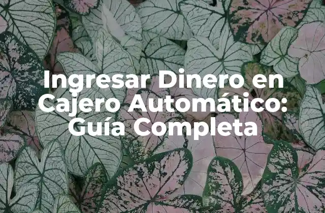 ¿Cómo Funcionan los Cajeros Automáticos?