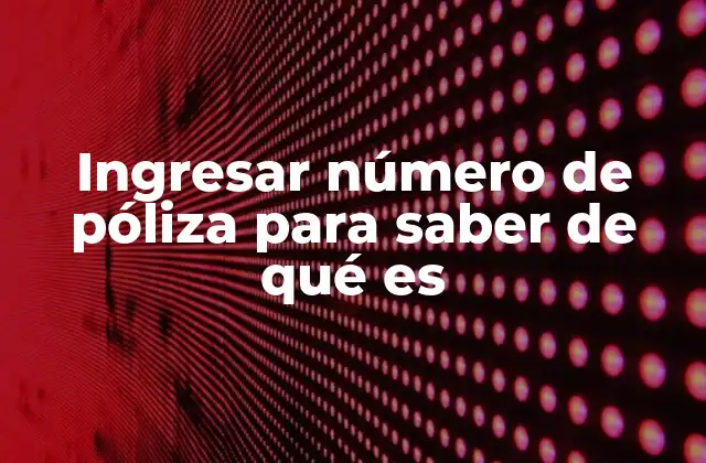 Acceder a información de tu seguro sin necesidad de recordar detalles