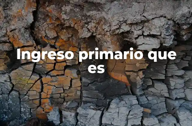 Ingreso Primario que es