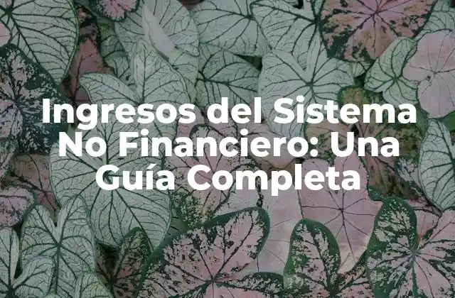Ingresos Del Sistema No Financiero: una Guía Completa