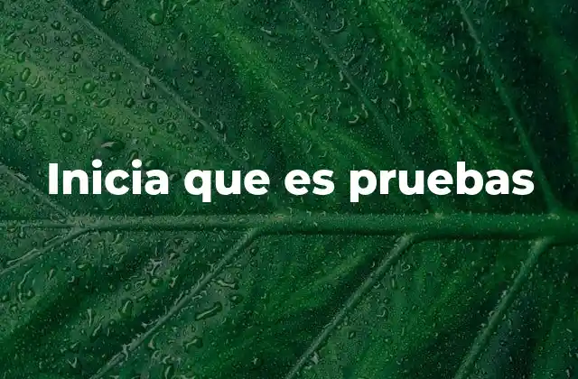 Inicia que es Pruebas