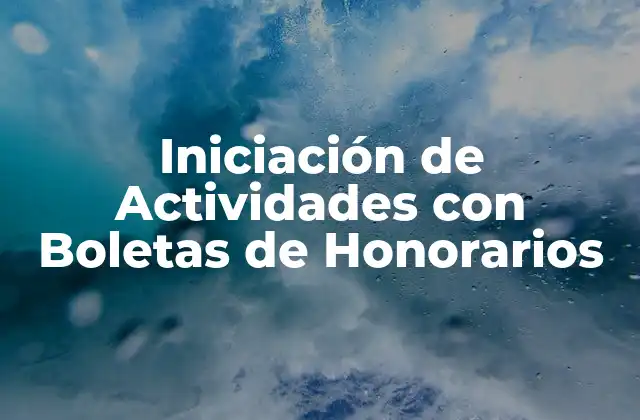Iniciación de Actividades con Boletas de Honorarios