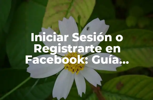 Iniciar Sesión o Registrarte en Facebook: Guía Completa y Actualizada
