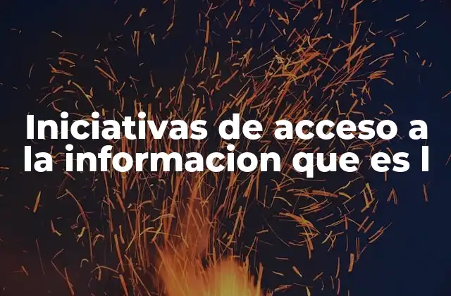 Iniciativas de Acceso a la Informacion que es L