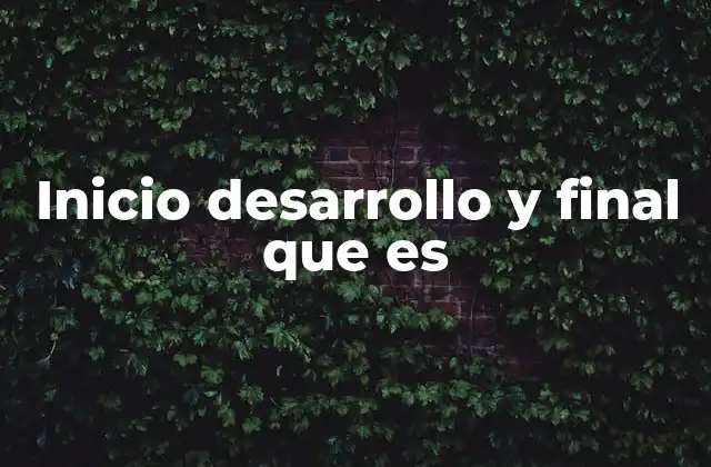 Inicio Desarrollo y Final que es