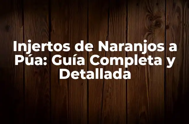 Injertos de Naranjos a Púa: Guía Completa y Detallada