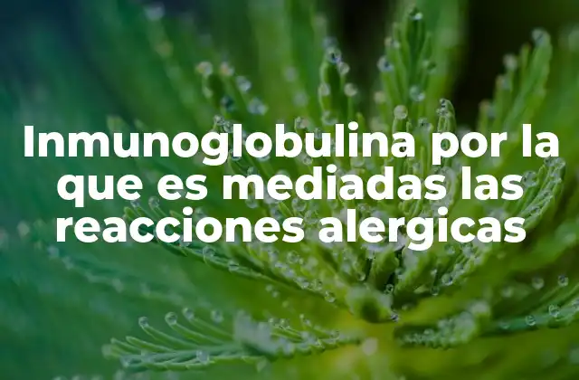 Inmunoglobulina por la que es Mediadas las Reacciones Alergicas
