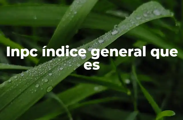¿Cómo se construye el inpc índice general?