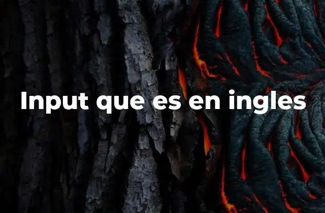 Input que es en Ingles