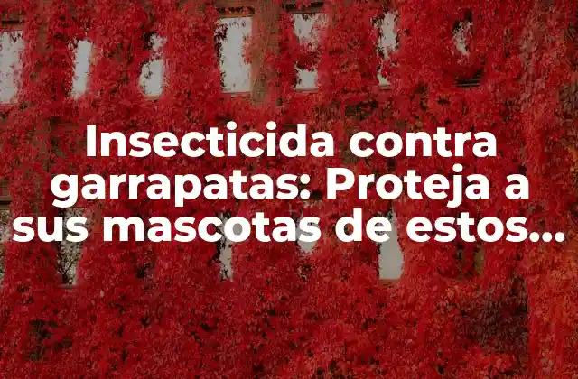 Insecticida contra Garrapatas: Proteja a Sus Mascotas de Estos Parásitos 2 ¿Cómo funcionan los insecticidas contra garrapatas?