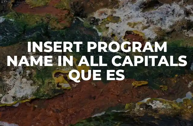 Insert Program Name In All Capitals que es