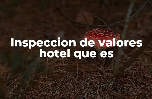 Inspeccion de Valores Hotel que es