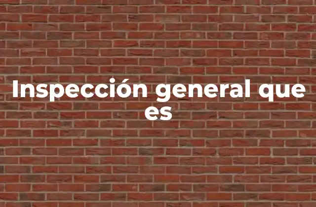 Inspección General que es