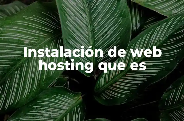 Cómo prepararse antes de instalar un web hosting