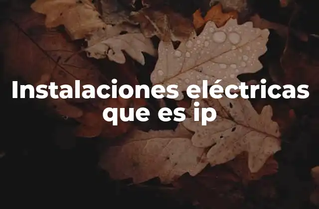 Instalaciones Eléctricas que es Ip