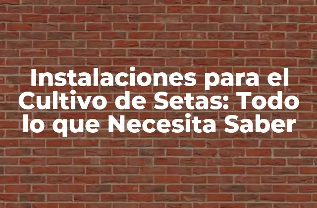 Instalaciones para el Cultivo de Setas: Todo Lo que Necesita Saber