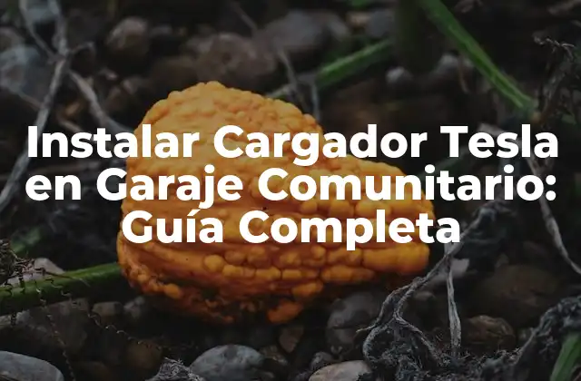 Instalar Cargador Tesla en Garaje Comunitario: Guía Completa 2 ¿Por qué Instalar un Cargador Tesla en un Garaje Comunitario?