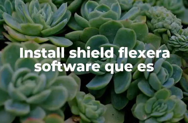 Install Shield Flexera Software que es