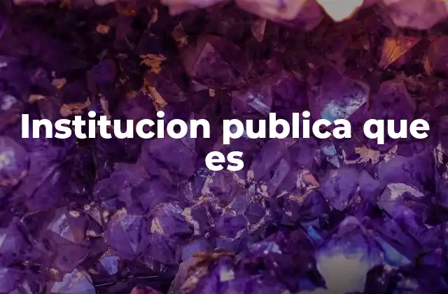 Institucion Publica que es