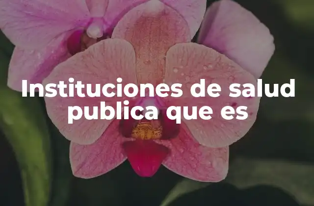 La importancia de contar con una red sólida de salud colectiva