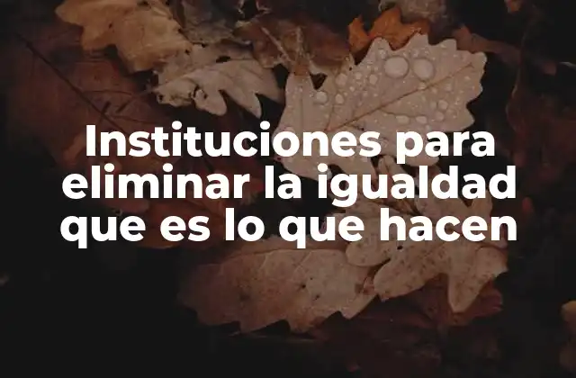 Instituciones para Eliminar la Igualdad que es Lo que Hacen