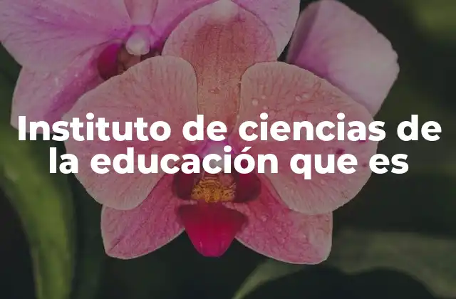 El papel de los institutos de ciencias de la educación en la sociedad actual