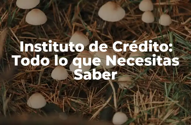 Instituto de Crédito: Todo Lo que Necesitas Saber