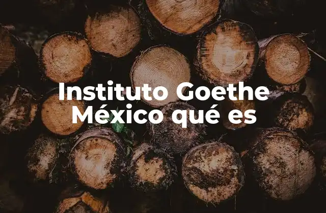 La importancia del Instituto Goethe en la educación del alemán en México