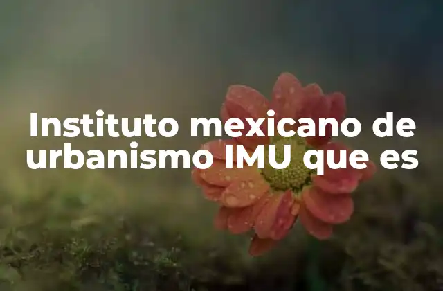 Instituto Mexicano de Urbanismo Imu que es 2 La importancia de las políticas urbanas en México