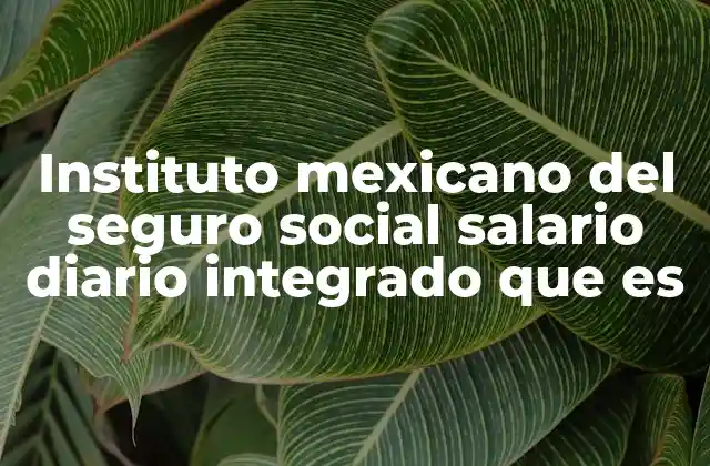 Instituto Mexicano Del Seguro Social Salario Diario Integrado que es