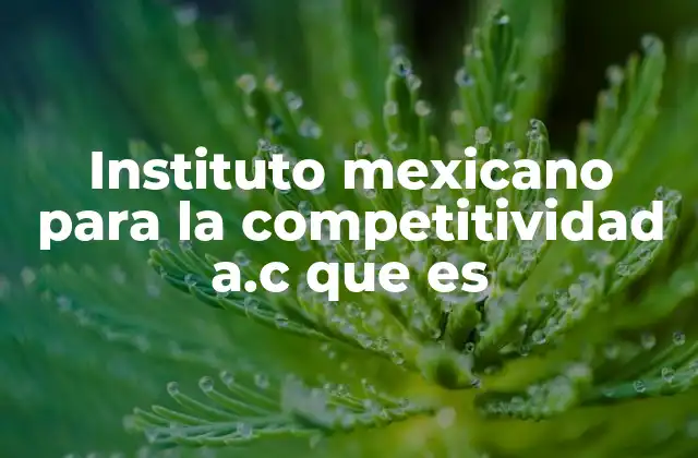 Instituto Mexicano para la Competitividad A.c que es