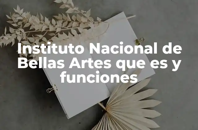 Instituto Nacional de Bellas Artes que es y Funciones