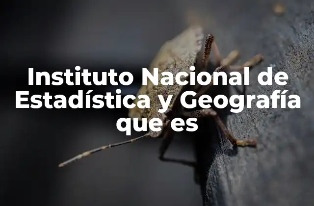 Instituto Nacional de Estadística y Geografía que es