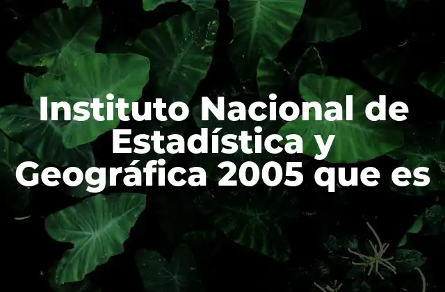 Instituto Nacional de Estadística y Geográfica 2005 que es