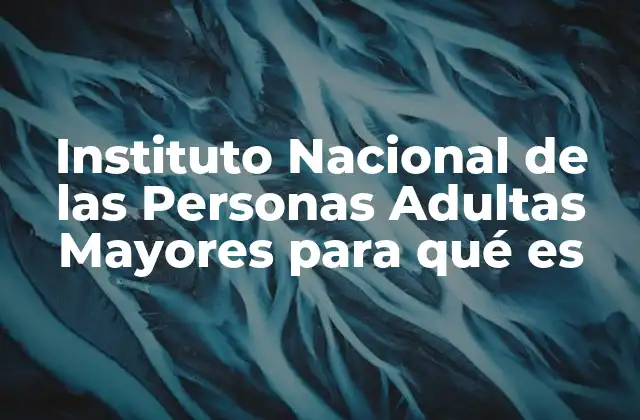 Instituto Nacional de las Personas Adultas Mayores para Qué es 2 El papel del INAPAM en la sociedad mexicana
