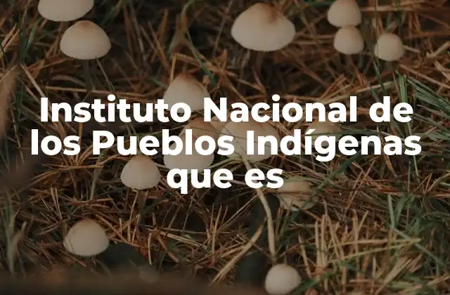 Instituto Nacional de los Pueblos Indígenas que es