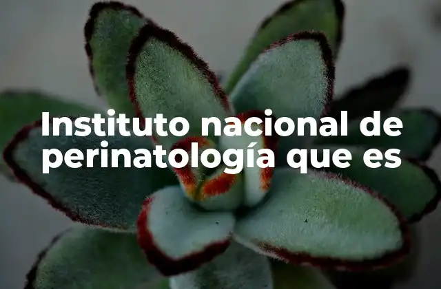 Instituto Nacional de Perinatología que es