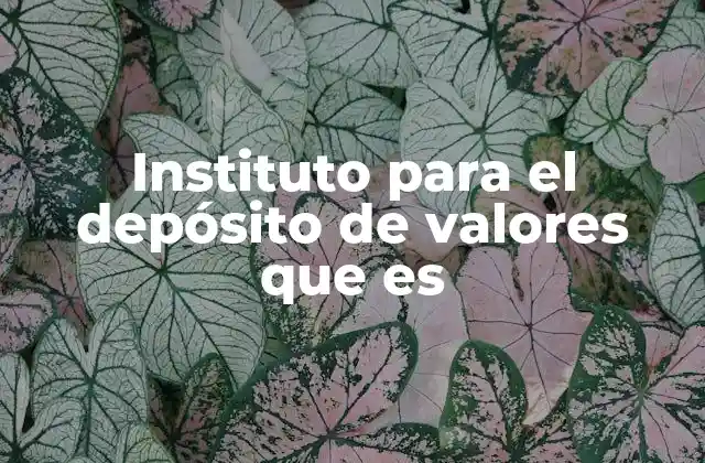 Instituto para el Depósito de Valores que es
