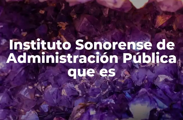 Instituto Sonorense de Administración Pública que es