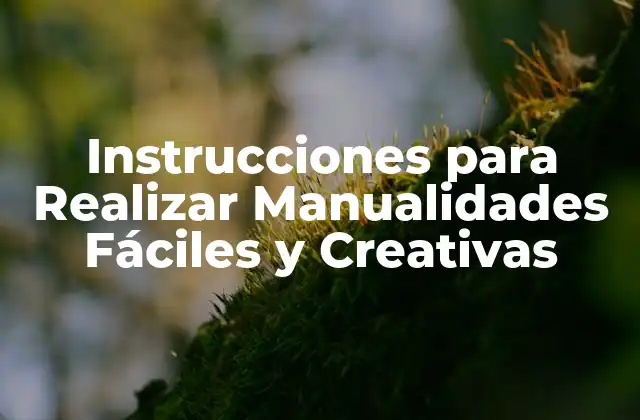Instrucciones para Realizar Manualidades Fáciles y Creativas 2 ¿Qué Necesito para Empezar a Hacer Manualidades?