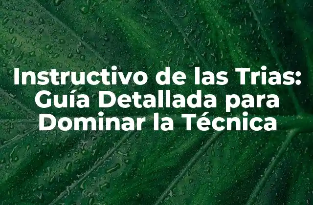 Instructivo de las Trias: Guía Detallada para Dominar la Técnica