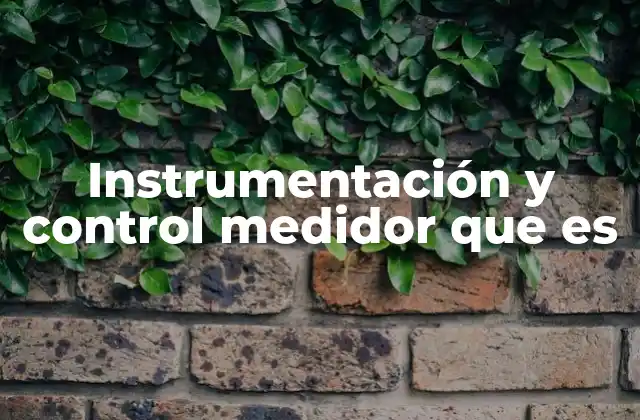 Instrumentación y Control Medidor que es 2 La importancia de los sistemas de medición en la industria