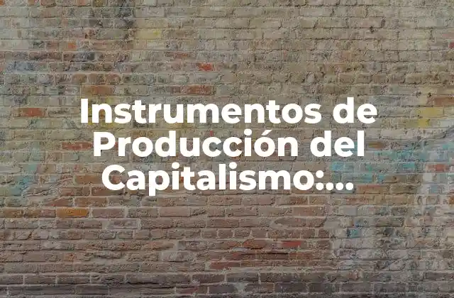 Instrumentos de Producción Del Capitalismo: Entendiendo la Estructura Económica