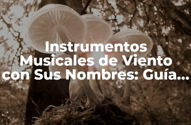 Instrumentos Musicales de Viento con Sus Nombres: Guía Completa