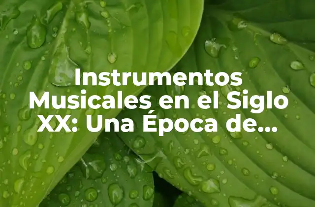 Instrumentos Musicales en el Siglo Xx: una Época de Innovación y Evolución